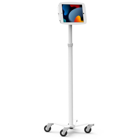 iPad Pro 12.9" (3-6th Gen)