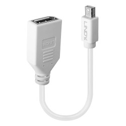 Lindy 41021 cable DisplayPort 0,15 m Mini DisplayPort Blanco | APLIUM