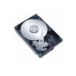 2.5" SAS Hotswap 1TB 7200RPM