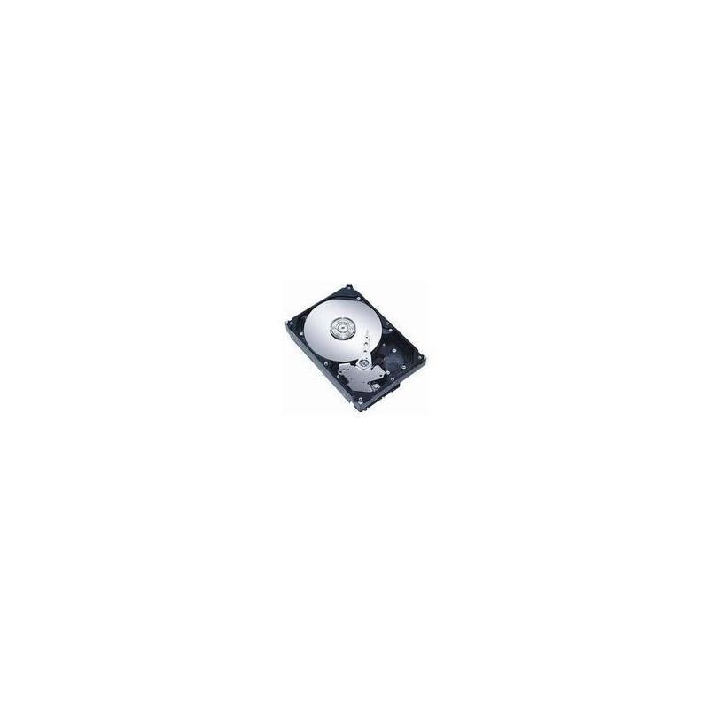 2.5" SAS Hotswap 1TB 7200RPM
