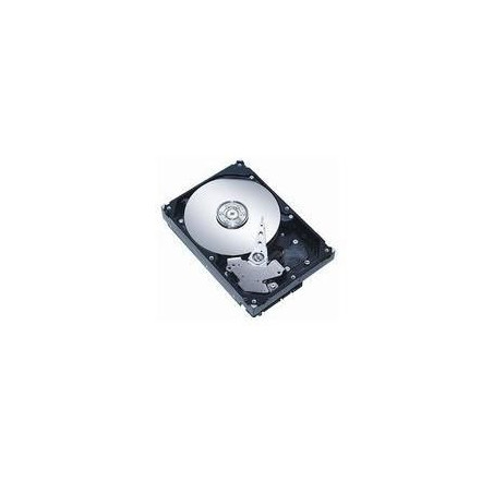 2.5" SAS Hotswap 1TB 7200RPM