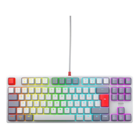 K4V2 Rgb Tenkeyless Retro