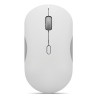 350 Mouse Office Ambidextrous
