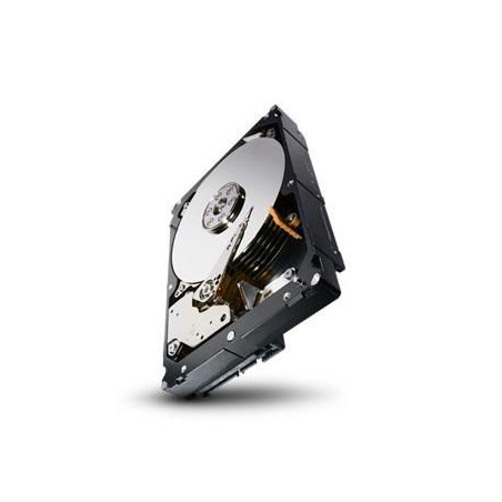 ENTERPRISE CAPACITY 3.5 HDD