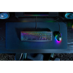 Blackwidow V4 X Keyboard Usb