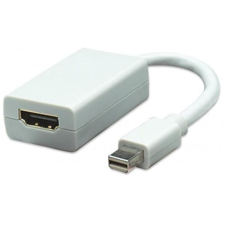 Mini Displayport