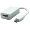 Mini Displayport