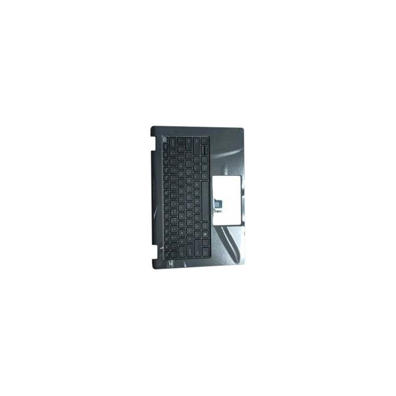 Palmrest with Keyboard,