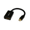 Mini DisplayPort to DisplayPort Adapter