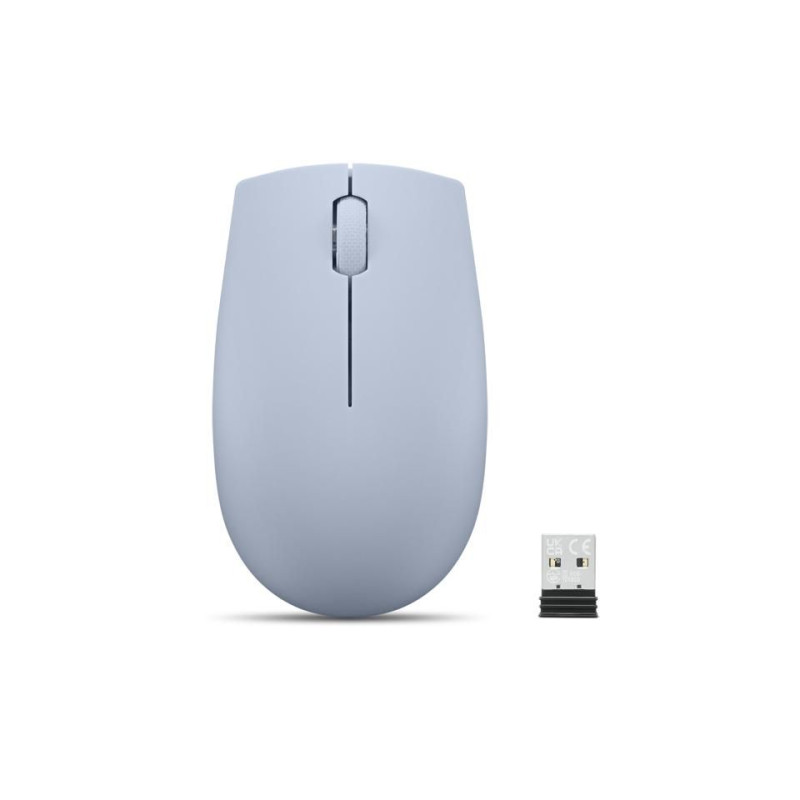 300 Wireless Compact Maus