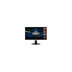 G244F E2 GAMING 23.8"Flat RapidIPS Black