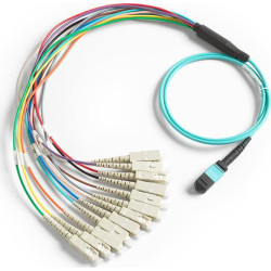 1m Breakout Cord, MPO, | APLIUM