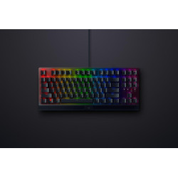 Blackwidow V3 Tenkeyless