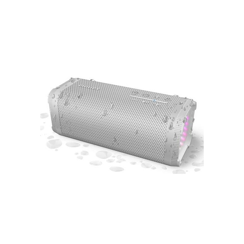 Portable/Party Speaker 2.1