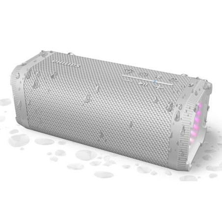 Portable/Party Speaker 2.1