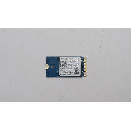 256GB M.2 PCIe NVMe SSD,