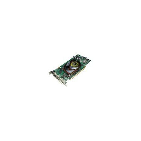 Nvidia Quadro Fx 1500 Video