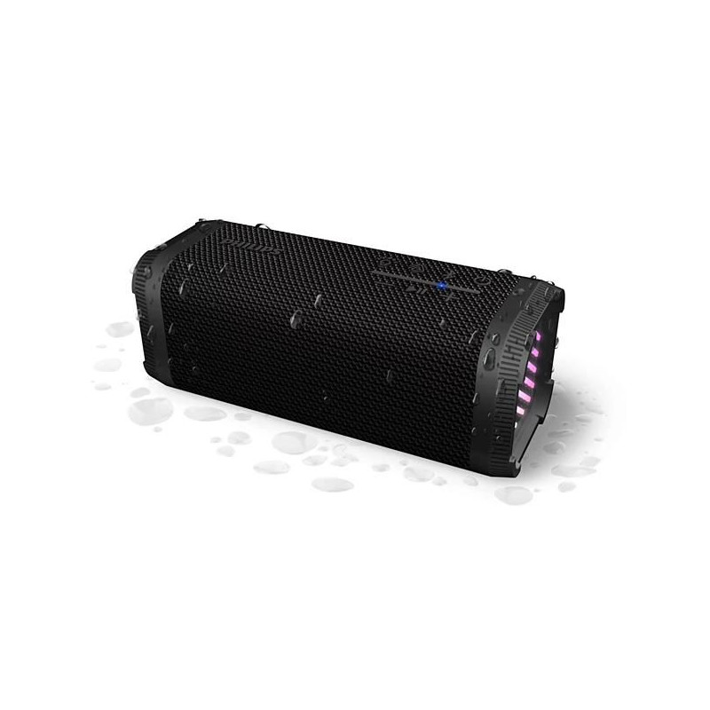 Portable/Party Speaker 2.1