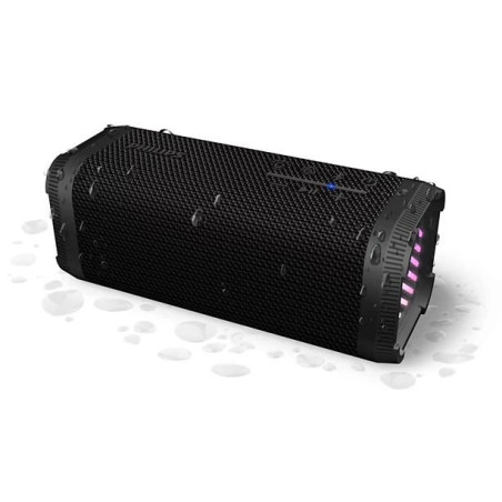 Portable/Party Speaker 2.1