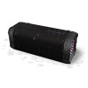 Portable/Party Speaker 2.1