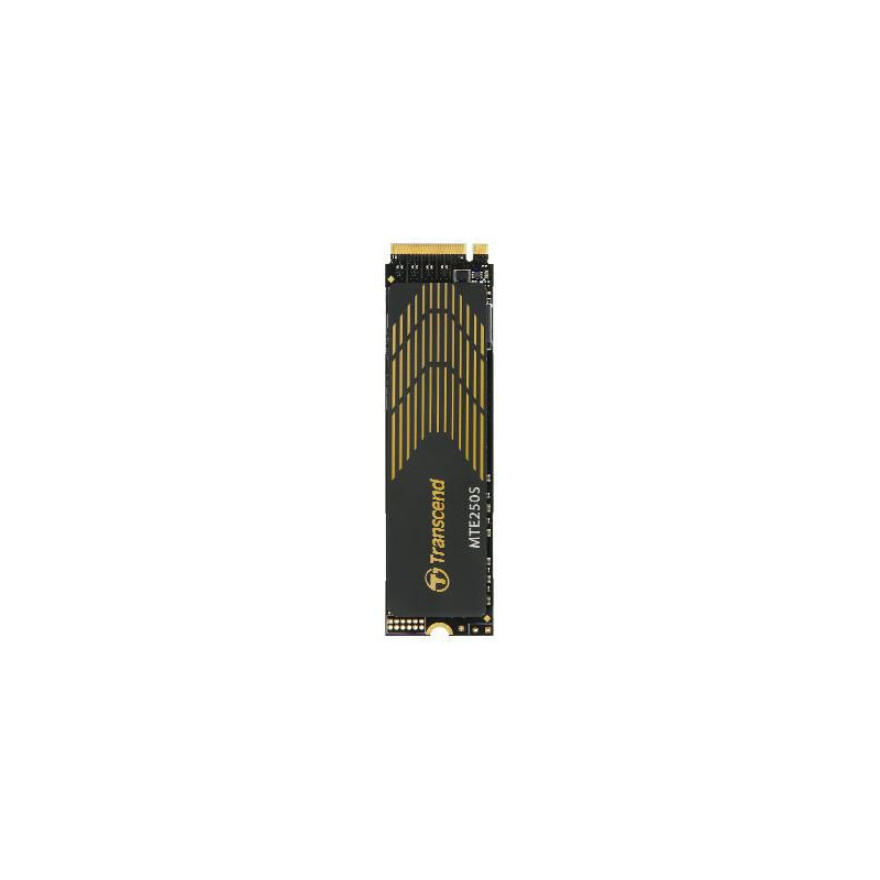 250S M.2 1000 Gb Pci Express