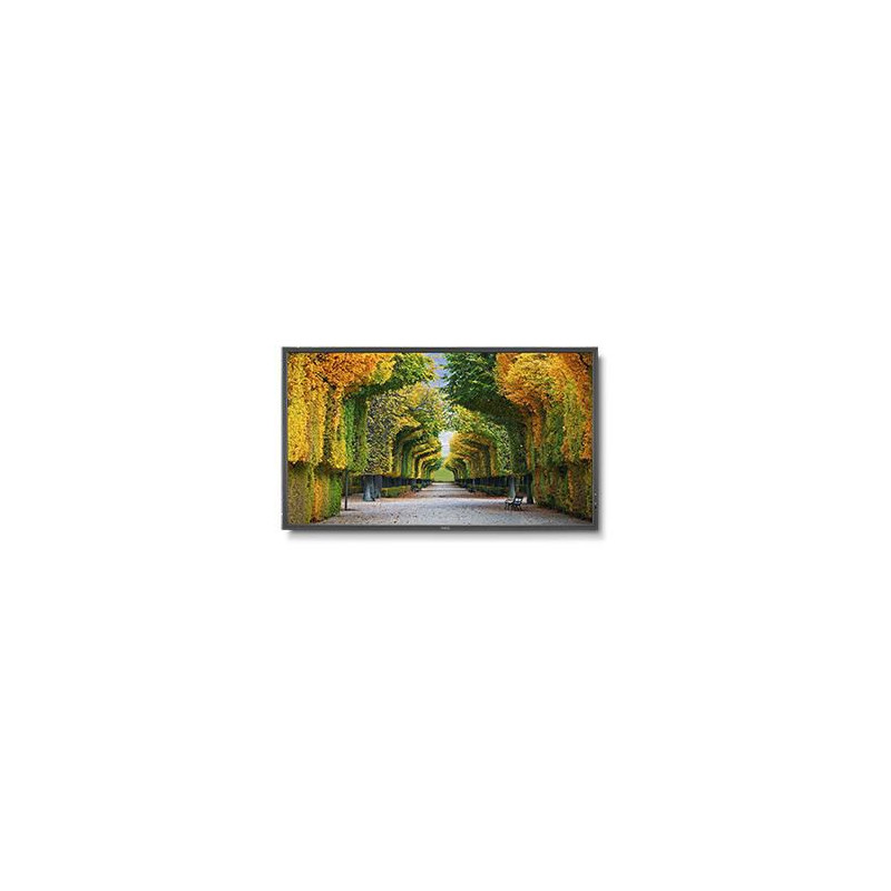 MultiSync X554HB 55" Display