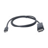 USB C to DisplayPort