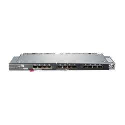 Synergy 10Gb Pass-Thru Module