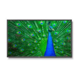 MultiSync C651Q 65" Display