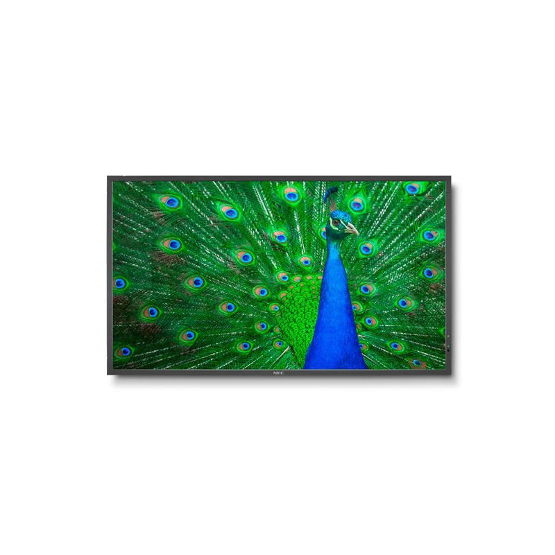 MultiSync C651Q 65" Display