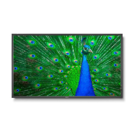 MultiSync C651Q 65" Display