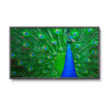 MultiSync C651Q 65" Display