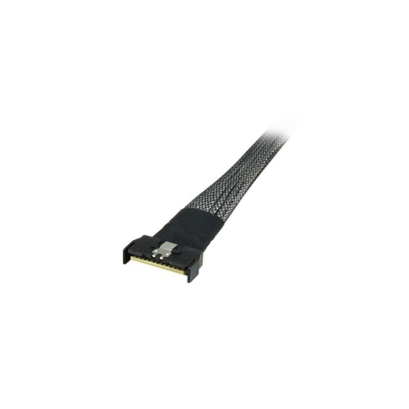 Serial Attached Scsi (Sas)