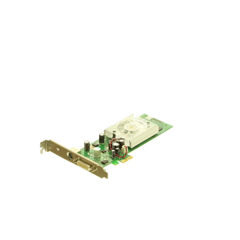 256MB NVIDIA GeForce 8400 GS | APLIUM