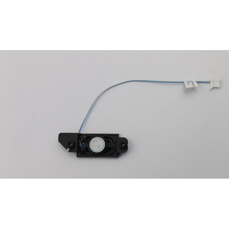 Speaker