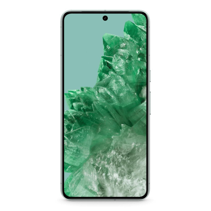 Pixel 8 Pro 17 Cm (6.7") Dual