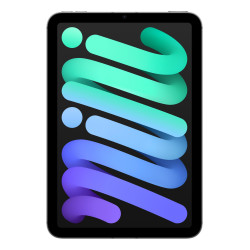 Ipad Mini 7Th Gen 8.3In