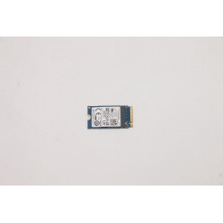 256GB M.2 PCIe NVMe SSD