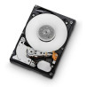 900GB SAS 10000RPM 64MB
