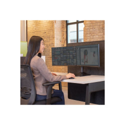 Double Monitor Horz Stand Black | APLIUM