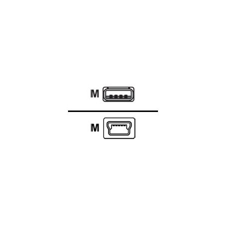 Cisco - Cable USB - USB (M) a mini USB tipo B (M) - 1.83 m - para Cisc