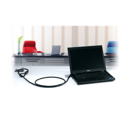 Punto De Anclaje De Seguridad Desk Mount Cable Anchor | APLIUM