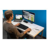 Raton Inalambrico Full Sized Wireless Mouse | APLIUM