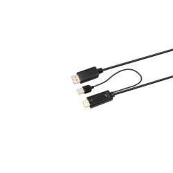 HDMI to DisplayPort Converter