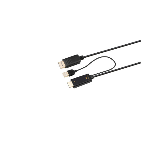 HDMI to DisplayPort Converter