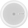 Indoor Security Microphone