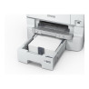 Epson - Cassette de papel - 500 hojas - para WorkForce Pro W | APLIUM