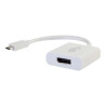 C2G USB C to DisplayPort Adapter Converter - USB Type C to D | APLIUM
