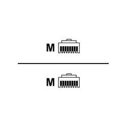 Belkin - Cable de interconexión - RJ-45 (M) a RJ-45 (M) - 1 m - CAT 6