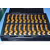 10.1" IPS LCD display for